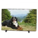 Schiefertafel mit Fotodruck eines Bernhardiners, der auf einer Wiese mit Blick auf ein bewaldetes Tal liegt.