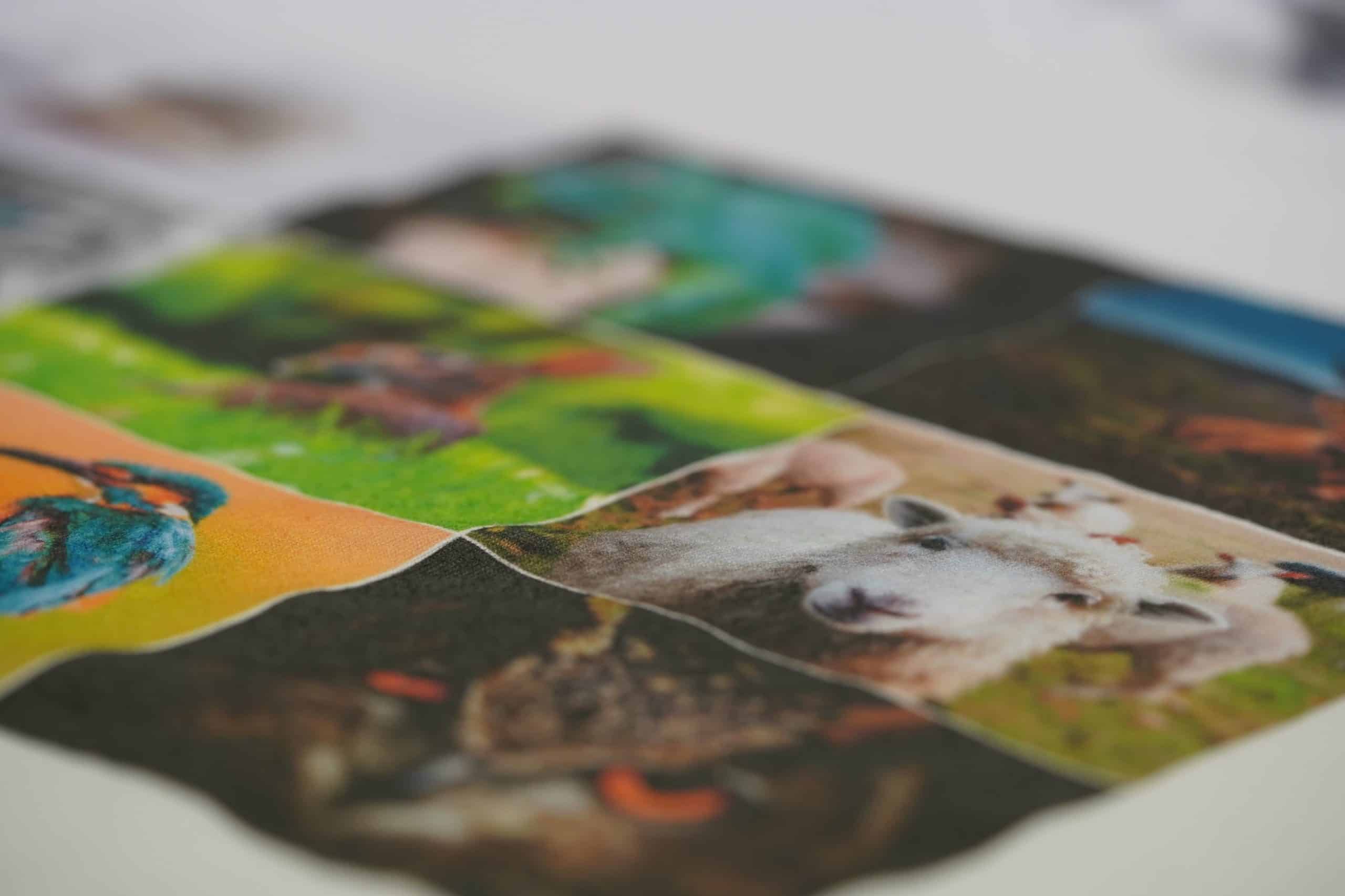 Farbige Tiermotive auf Textil im DTG Direktdruck