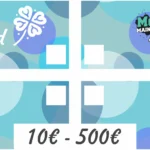 Gift Card mit McShirt Mainz Logo und Wertbereich von 10€ bis 500€